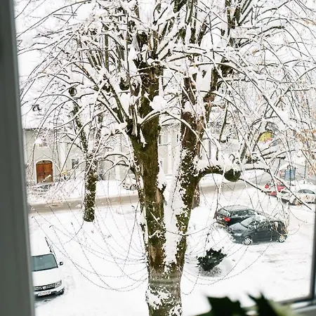 Am Marktplatz Apartment Landskron By Seebnb